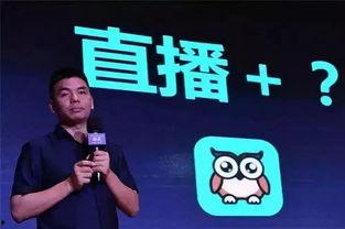 明星 映客,映客平台上的璀璨星辰