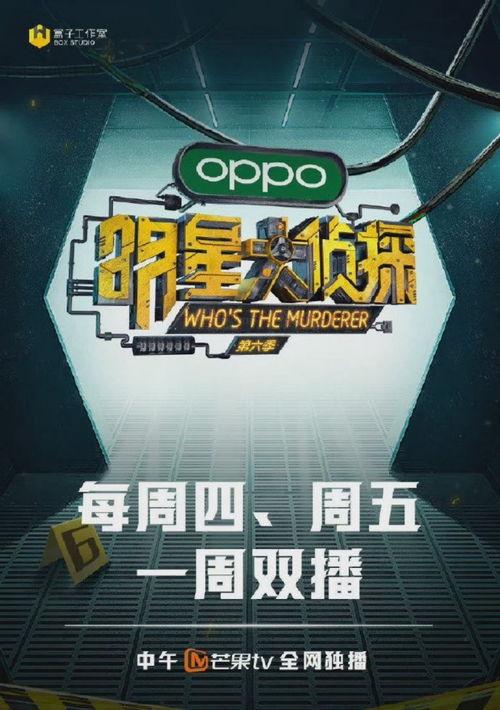 明星大侦探完整版,探秘悬疑，明星阵容揭秘真相之谜
